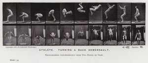 The Human Figure in Motion: Athlete, turning a back somersault by Eadweard Muybridge
