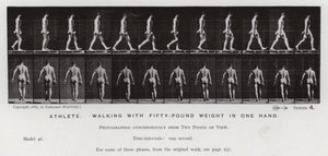 The Human Figure in Motion: Athlete, walking with fifty-pound weight in one hand by Eadweard Muybridge