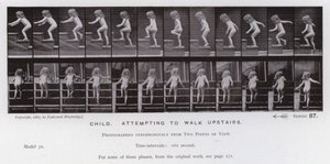 The Human Figure in Motion: Child, attempting to walk upstairs by Eadweard Muybridge