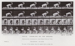 The Human Figure in Motion: Child, crawling on the ground by Eadweard Muybridge