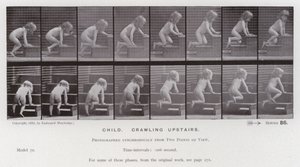 The Human Figure in Motion: Child, crawling upstairs by Eadweard Muybridge