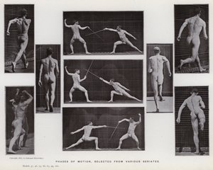 The Human Figure in Motion: Phases of motion, selected from various series by Eadweard Muybridge