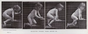 The Human Figure in Motion: Selected phases from series 86 by Eadweard Muybridge