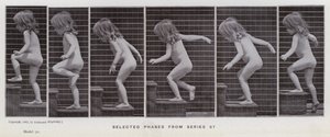 The Human Figure in Motion: Selected phases from series 87 by Eadweard Muybridge