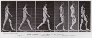 The Human Figure in Motion: Some phases in the walk of an athlete by Eadweard Muybridge