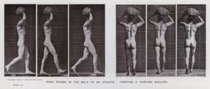 The Human Figure in Motion: Some phases in the walk of an athlete, carrying a 75-pound boulder by Eadweard Muybridge
