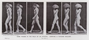 The Human Figure in Motion: Some Phases in the Walk of an Athlete, Carrying a 75-Pound Boulder by Eadweard Muybridge