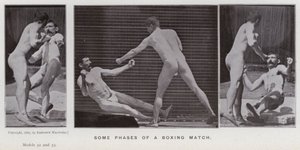 The Human Figure in Motion: Some phases of a boxing match by Eadweard Muybridge