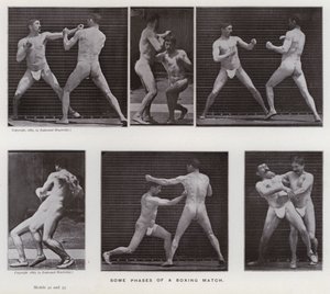 The Human Figure in Motion: Some phases of a boxing match by Eadweard Muybridge