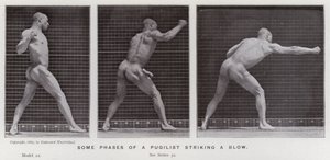 The Human Figure in Motion: Some phases of a pugilist striking a blow by Eadweard Muybridge