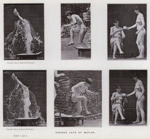 The Human Figure in Motion: Various acts of motion by Eadweard Muybridge