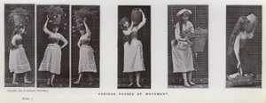 The Human Figure in Motion: Various phases of movement by Eadweard Muybridge