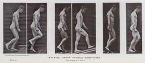 The Human Figure in Motion: Walking, under various conditions by Eadweard Muybridge