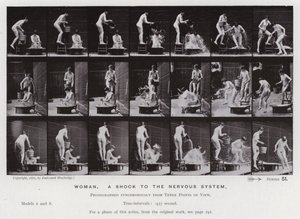 The Human Figure in Motion: Woman, a shock to the nervous system by Eadweard Muybridge