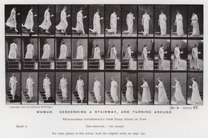 The Human Figure in Motion: Woman, descending a stairway, and turning around by Eadweard Muybridge