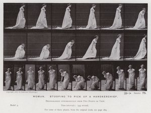 The Human Figure in Motion: Woman, stooping to pick up a handkerchief by Eadweard Muybridge