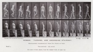 The Human Figure in Motion: Woman, turning, and ascending stairway by Eadweard Muybridge