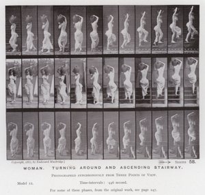 The Human Figure in Motion: Woman, turning around and ascending stairway by Eadweard Muybridge