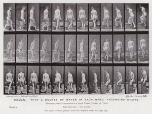 The Human Figure in Motion: Woman, with a bucket of water in each hand, ascending stairs by Eadweard Muybridge