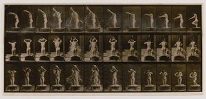 Woman Pouring a Basin of Water over Her Head, from the book Animal Locomotion by Eadweard Muybridge