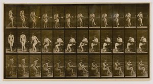 Woman Seated, Legs Crossed, Drinking from Teacup, from the book Animal Locomotion by Eadweard Muybridge