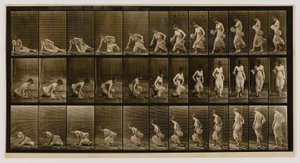 Woman Sitting Down on the Ground, from the Book Animal Locomotion by Eadweard Muybridge