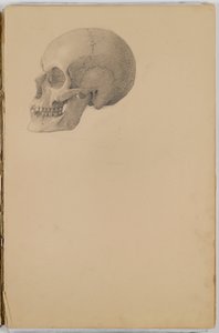 Anatomy Sketch Book by Eastman Johnson