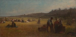 Cranberry Pickers