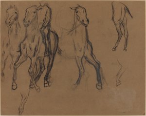 Study of Horses by Edgar Degas