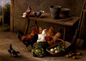 Chickens, Pigeons and Doves by Edgar Hunt