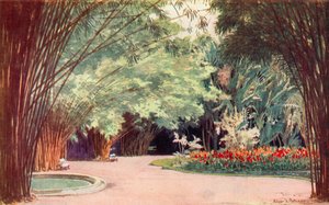 A Bamboo Grove, Botanical Gardens by Edgar L. Pattison