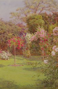 A Rose Garden