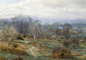 Hampstead Heath Looking Towards Harrow on the Hill, 1880 by Edith Martineau
