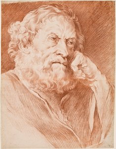 Head of a bearded man