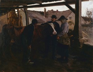 The Sick Cow