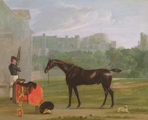 Outside the Guard House at Windsor