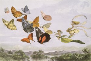 In Fairyland: A Series of Pictures from the Elf-World