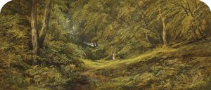 Sketch - In the Woods