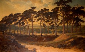 Harrow from the First, Hampstead Heath, 1875 by Edmund John Niemann