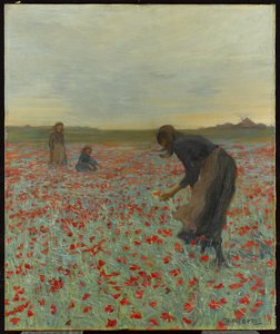 Girls in a Poppy Field