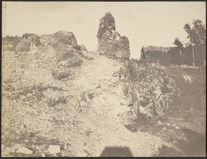 Rocky Landscape