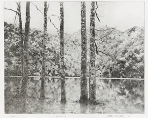 Sai-no-Ko, 1992 by Edouard Cremieux