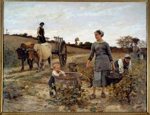 Corner of Vine in Languedoc by Edouard Debat Ponsan