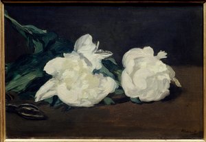 Branch of white peonies and secateur by Édouard Manet