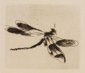 Dragonfly, plate 1 from Le Fleuve by Édouard Manet