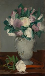 Peonies