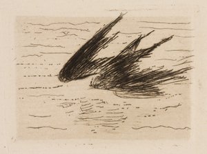 Swallows, plate 8 from The River