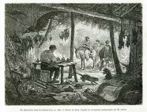 A taxidermy laboratory in the virgin forest, in the region of Llanos (Colombia), drawing by Riou, to illustrate the story of Equinoxiale America (Colombia, Ecuador, Peru), in 1875-1876, by Ed. Andre, traveller mission charge by the French government. Engra by Edouard Riou