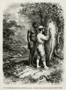 Apatou, guide and travel companion asks the explorer author to engrave his initials in the bark of a tree (engraving by Riou, to illustrate the story 