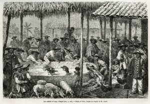 Cockfighting and street animation in Ibague (Colombia) (drawing by Riou, to illustrate the story of Equinoxial America (Colombia, Ecuador, Peru), 1875-1876, by Ed. Andre, traveler mission charge by the French government. Engraving in 